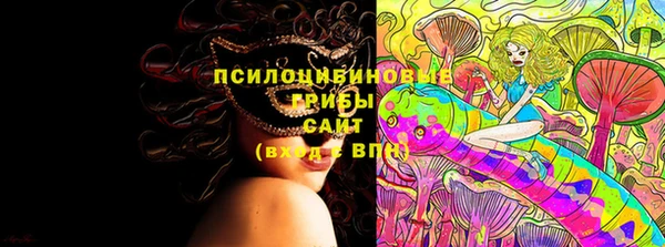 амф Алексин