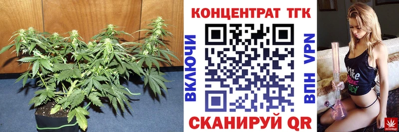цены наркотик  Данилов  Дистиллят ТГК Wax 